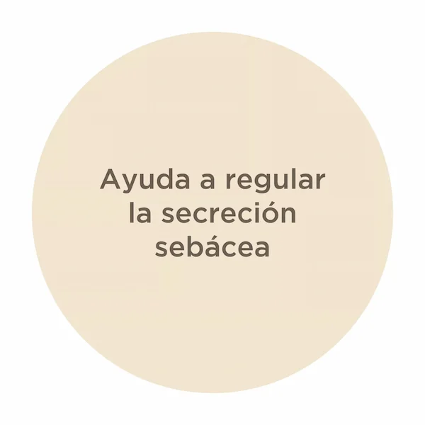 beneficio del shampoo para cabello graso nuggela sule beneficio del shampoo para cabello graso nuggela sule